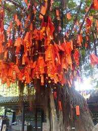 Make Your Own Feng Shui Wishing Tree For The Chinese New Year Wishing Tree Chinese New Year Activities Chinese New Year