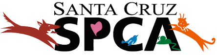 It lies on the north shore of monterey bay, at the foot of the santa cruz mountains, and is about 80 miles (130 km) south. Santa Cruz Spca Changing Lives One Paw At A Time