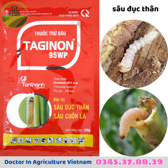 Taginon 95WP