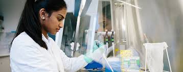 Summer Internship Program Fellows Career Development