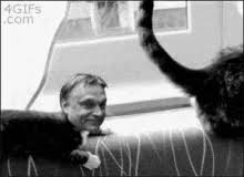 Nu ne mai putem permite încă patru ani de incompetență și cinism pnl ; Orban Gifs Tenor