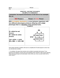 Punnett square worksheet complete the following monohybrid crosses: Incomplete Dominance Ratio