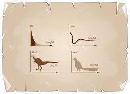 Charts And Graphs Illustration Animal Cartoon Of Fat Tailed