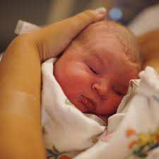 Zach Fowler (@zachfowlereditor) • Instagram photos and videos