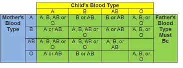 Using Blood Types To Confirm A Childs Father