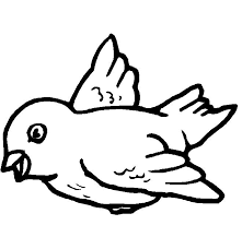 Largest bird coloring pages for preschoolers pin by birgit keys on. Vogels Kleurplaten Google Zoeken Bird Coloring Pages Coloring Pages Bird Crafts Preschool