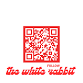 White Rabbit Band event image