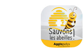 Il existe deux types de produits chimiques utilisés pour se débarrasser des frelons : Le Frelon Asiatique Agglopolys Communaute D Agglomeration De Blois