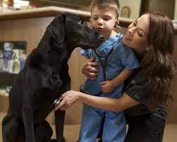 Advanced pet care of clear lake. Advanced Pet Care Of Clear Lake Home Facebook