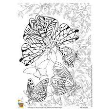 10 coloriages evasion a imprimer coloriage papillon gratuit drapeau chypre du nord