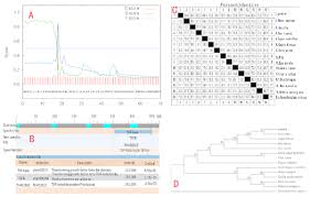 Cloning Expression And Immunogenicity Analysis Of Inhibin