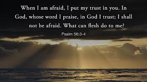 Use them as wallpapers for your mobile or desktop screens. Roy T Bennett On Twitter When I Am Afraid I Put My Trust In You In God Whose Word I Praise In God I Trust I Shall Not Be Afraid What Can