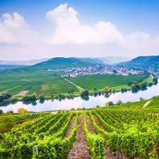 What are the best pet friendly hotels near loch an eilein? The 10 Best Pet Friendly Hotels In Germany Booking Com