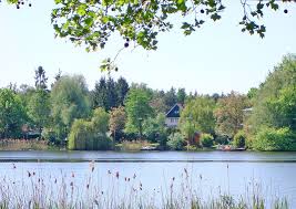 Das günstigste angebot beginnt bei chf 320'000. Wassergrundstucke Potsdam Immobilien Alpha Immobilien Gmbh