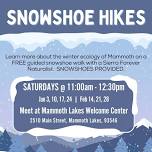 Guided Snowshoe Hike – Mammoth