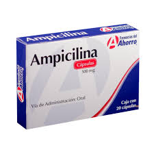 Ampicilina Para Que Sirve Guia Precios 2022