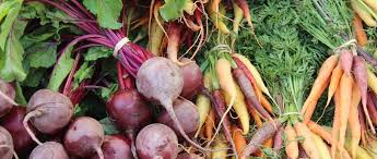 If you do, pay some attention to the nutritional needs of what you are planning to plant, and add soil amendments as needed. The 10 Best Vegetables And Fruits To Grow This Fall In Texas Tlm