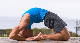 4 digital files in the following sizes: Yoga Poses Named After Animals 20 Animal Yoga Poses