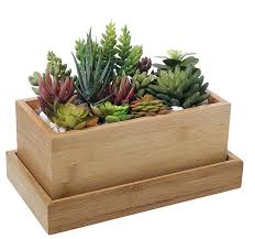 Photo gallery of the window sill herb garden box. Wooden Plant Seeds Box Indoor Outdoor Windowsill Kitchen Garden Herb Flower Planter Trough Buy Small Seed Box Finished Wood Boxes Wood Condiment Box Product On Alibaba Com
