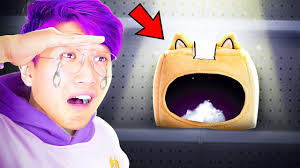 LANKYBOX'S MERCH WAS STOLEN!? (HELP US FIND IT!) *OUR FAVORITE TOY UNBOXING  EVER!*