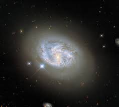Ngc 2608 galaxia es uno de los libros de ccc revisados aquí. Esa One Amongst Millions