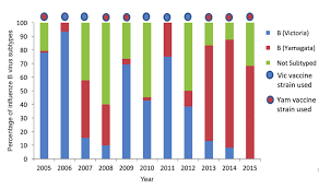 Nasal congestion, fatigue, and a cough are all common symptoms of flu. Percentages Of Influenza Type B Viruses Subtypes In Malaysia From 2005 Download Scientific Diagram