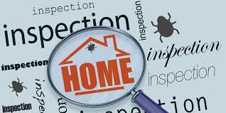 Your ideas may be better than any recommendation.. Signs Of Termite Infestation Archives Extreme Termite Pest Control