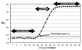 Draw Of An Amplification Curve Obtained By Real Time Pcr The Y Axis Is Download Scientific Diagram