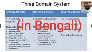 3 Domain Classification System By Carl Woese In Bengali Youtube