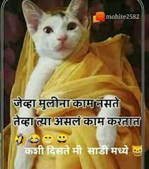 Pin By Pratiksha Bhise On Sharechat Cats Animals