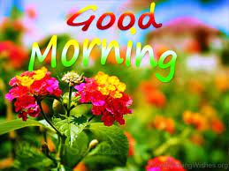 Check spelling or type a new query. 162 Lovely Good Morning Wishes With Flowers