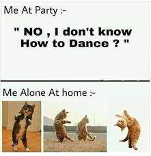 The 'woman yelling at cat' meme refers to a scene of taylor armstrong from the second season of the real housewives of beverly hills, going off on a cat (which was not in the series). No I Don T Know How To Dance I Can Has Cheezburger