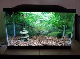 Asian Fish Aquarium Decor Aquarium Design Aquarium Decor Fish Aquarium Decorations