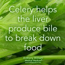 Pin Pa Optimal Health Micronutrients Micronutrient Foods Diet Nutrition