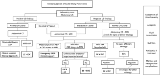 1) a gallstone impacted in the common bile duct beyond the point where the pancreatic duct. Prevalence Of Persistent Common Bile Duct Stones In Acute Biliary Pancreatitis Remains Stable Within The First Week Of Symptoms Springerlink