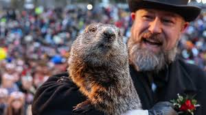 Punxsutawney Phil comes out tomorrow for Groundhog Day – but these 7 other  animals also have predictions ahead of spring