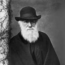 Darwin's Dim View of the Second Sex