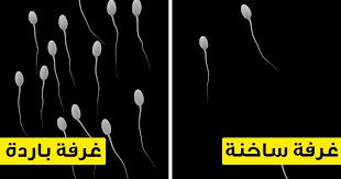 9 أسباب تجعل النوم في غرفة باردة أفضل لك الخلاصة