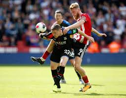 Vicente guaita, gary cahill, james tomkins (jeff schlupp), tyrick mitchell, joel ward, james mccarthy (patrick van aanholt), jairo riedewald, cheikhou kouyaté (martin kelly), wilfried zaha, jordan ayew, andros townsend. Crystal Palace Fans Split Over The Future Of James Mccarthy The Transfer Tavern
