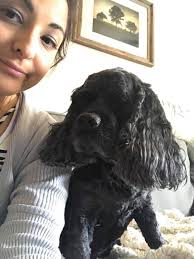 Signs of glaucoma drops no longer working?