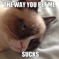 Check out the funniest cat gifts on etsy. Grumpy Cat Quotes For Work Physical Therapist Month Quotes The Best Amazon Price In Savemoney Es Dogtrainingobedienceschool Com