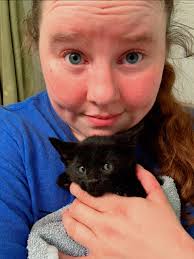 Feral community cats find comfort in quiet assurance