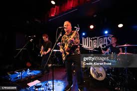 127 Johnny Boyle Stock Photos, High-Res Pictures, and Images