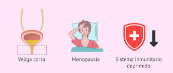 Infecciones Urinarias Causas Sintomas Y Tratamientos