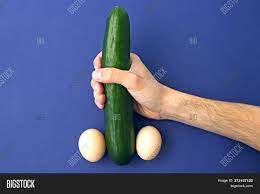 Cucumber sexual