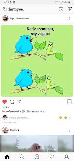Birds That Start With Q In Spanish Pin On Spanish 1 Memes
