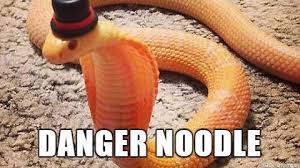 16 Alternate Names For Animals Pleated Jeans Com Funny Animal Names Alternate Animal Names Danger Noodle