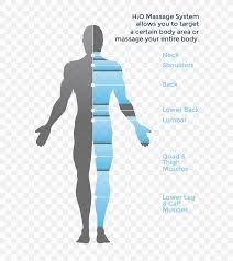 The thoracic spine helps keep the body upright and stable. Massage Hydrotherapy Human Body Diagram Png 725x921px Massage Anatomy Diagram Homo Sapiens Human Download Free
