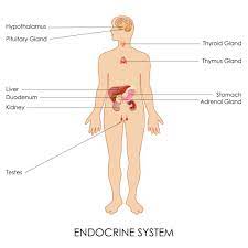 Pin On Everything Autoimmune Disease S