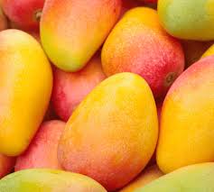 Available at stores and online in the united states while stocks last. Mango Tree Fertilizer Haifa Group